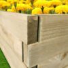 2 Rectangular Raised Beds Photo