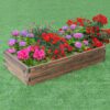 2 Rectangular Raised Beds Photo