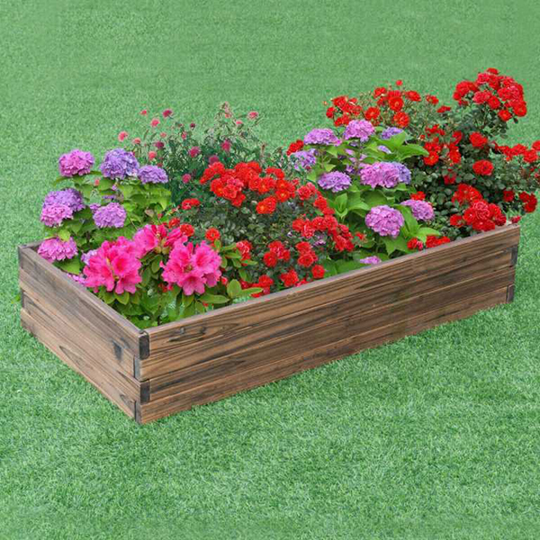 2 Rectangular Raised Beds Photo