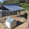 3 x 3M Dog Run – WITH ROOF COVER