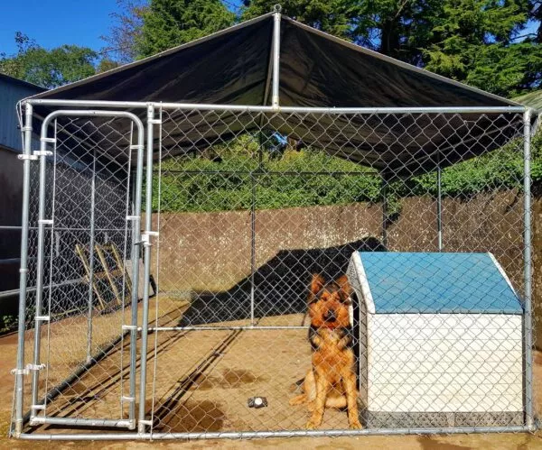 3 x 3M Dog Run – WITH ROOF COVER