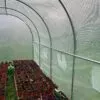 3x2x2m Polytunnel Pro, Galvanised With Door Photo