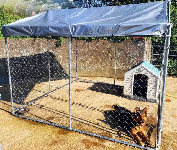 4 x 3M Dog Run – WITH ROOF COVER