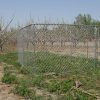 4 x 3M Dog Run – WITH ROOF COVER