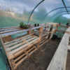 4x2x2m-Polytunnel-Pro-Galvanised-With-Door-