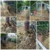 4x3m Galvanised Hen Run Photo