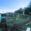 6x3.5x1.95m-Super-Pro-Heavy-Duty-Polytunnel-