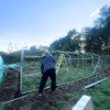 6x3.5x1.95m-Super-Pro-Heavy-Duty-Polytunnel.