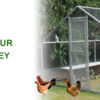 6x3m Galvanised Hen Run with a Free Cover