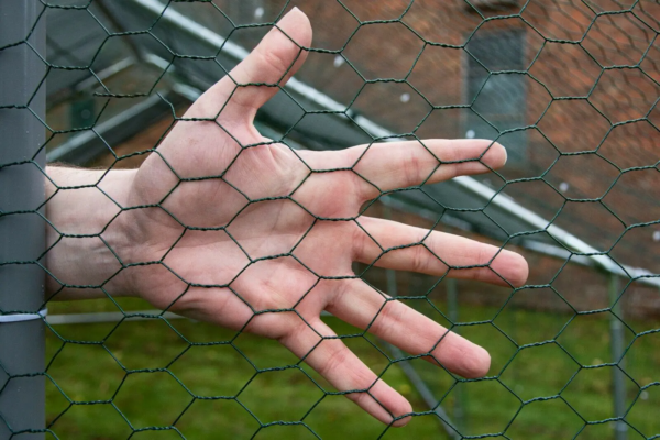 6x3m Galvanised Hen Run with a Free Cover