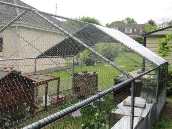 6x3m Galvanised Hen Run with a Free Cover