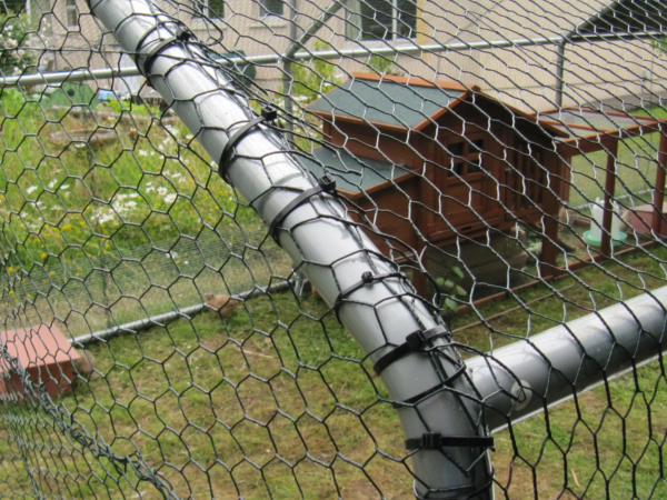 6x3m Galvanised Hen Run with a Free Cover