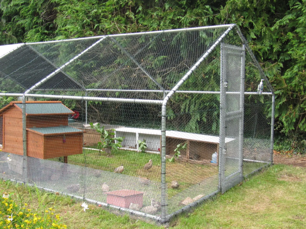 6x3m Galvanised Hen Run with a Free Cover