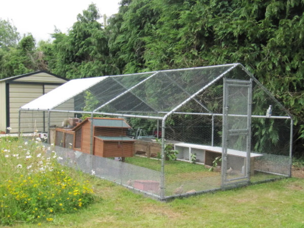 6x3m Galvanised Hen Run with a Free Cover