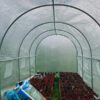 6x3x2m Polytunnel Pro, Galvanised With Door Photo