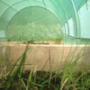 6x3x2m-Polytunnel-Pro-Galvanised-With-Door