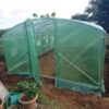 6×3.5×1.95m Super Pro Heavy Duty Polytunnel Photo