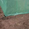 6×3.5×1.95m Super Pro Heavy Duty Polytunnel Photo