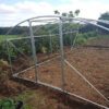 6×3.5×1.95m Super Pro Heavy Duty Polytunnel Photo