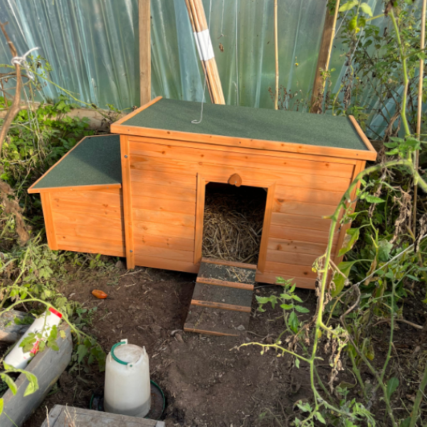 Captain Coop Chicken Coop – 6-8 Birds – 2 Colours Available - Pre-order