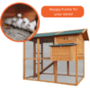 Chicken-Cooplex-Apartment-Chicken-Coop-–-8-10-Birds