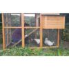 Chicken Cooplex Apartment Chicken Coop Photo