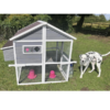 Cluckingham-Palace-Coop-–-10-12-Birds-