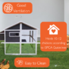 Cluckingham-Palace-Coop-–-10-12-Birds-–