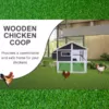 Cluckingham-Palace-Coop-–-10-12-Birds-