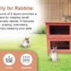 Double Decker Rabbit Hutch