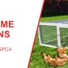 Egg-Center Chicken Coop – 9-12 Birds – Red