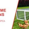 Egg-Center Chicken Coop – 9-12 Birds – Red