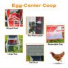 Egg-Center Chicken Coop Photo