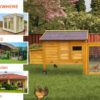 Egg-Zotic Chicken Coop With Wheels – 6-8 Birds – Natural Wood