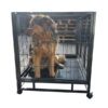 Heavy Duty Wheeled Pet Cage 2 Sizes Photo