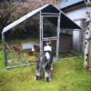 Hen-Run-With-a-Free-Cover-3M-x-2M-x-2M-10ft-x-6.6ft-x-6.6ft-Galvanised-Heavy-Duty-Bars-32MM-Largest-Bars-In-Ireland.png