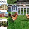 Ladies' Quarters Chicken Coop – 10-12 Birds - 2 Colours