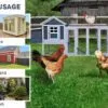 Ladies' Quarters Chicken Coop – 10-12 Birds - 2 Colours