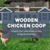 Ladies' Quarters Chicken Coop – 10-12 Birds - 2 Colours