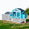 Poultry-Palace-Chicken-Coop-–-7-10-Birds-–-4-Colours