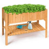 Raised Bed With Shelf Photo