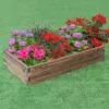 Rectangular Raised Bed Photo