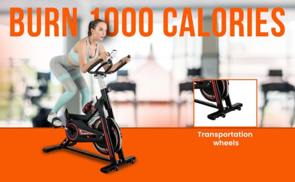 S-240 B Exercise Bike