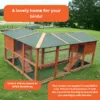 The-Egg-Plant-Chicken-Coop-–-6-8-Birds-–-Natural-Wood