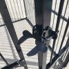 Covered Steel Bar Dog Run 3x3x2 Photo
