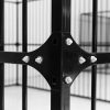 Covered Steel Bar Dog Run 3x3x2 Photo