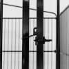 Covered Steel Bar Dog Run 4x3x2 Photo