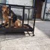 Heavy Duty Wheeled Pet Cage – 2 Sizes