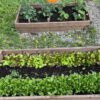 Rectangular Raised Bed