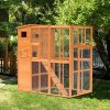 The Cat Camp Larger Catio Photo